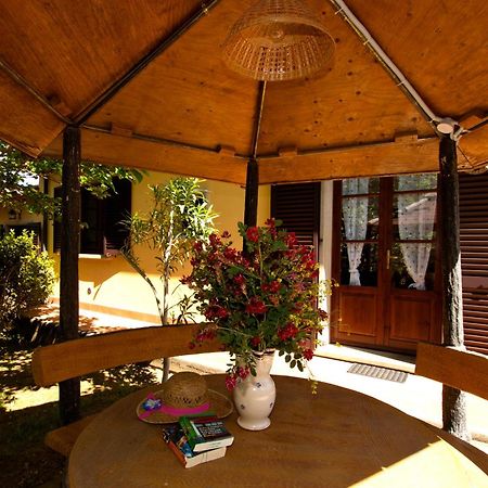 Agriturismo I Cerroni Montescudaio Exterior foto