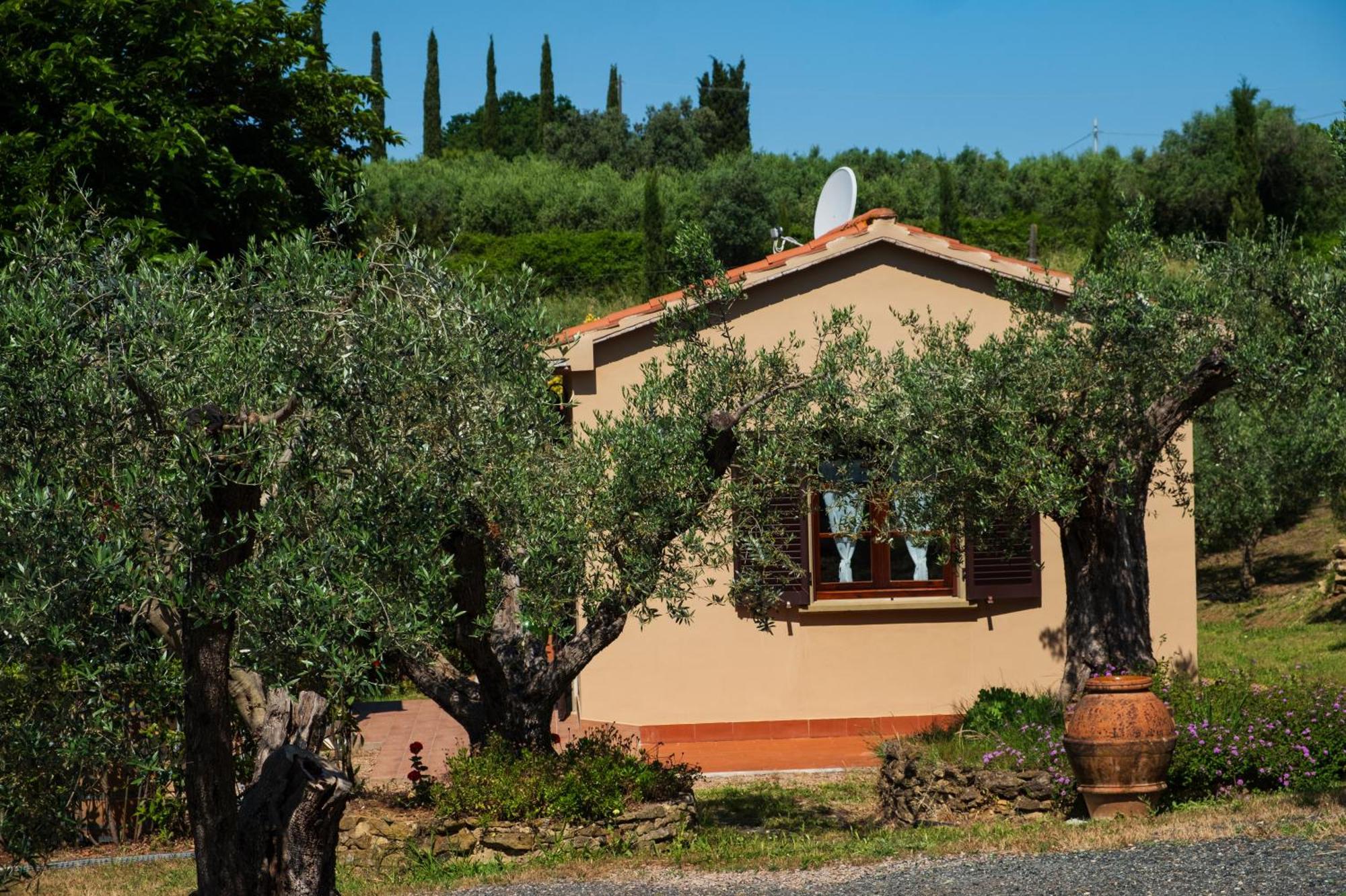 Agriturismo I Cerroni Montescudaio Exterior foto